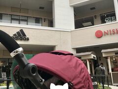 2日目は午前中ゆっくりして、昼前に出発です。
この日は仙台泉プレミアムアウトレットでショッピング。
そして私は娘と一緒に、お友達とお茶しました。