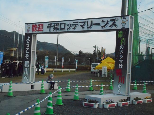 ２０１９年 １１月上旬 三連休・・・・・③千葉ロッテ鴨川キャンプ』鴨川(千葉県)の旅行記・ブログ by ぱいぐさん【フォートラベル】