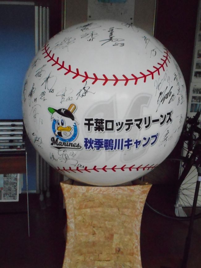 ２０１９年 １１月上旬 三連休・・・・・③千葉ロッテ鴨川キャンプ ...