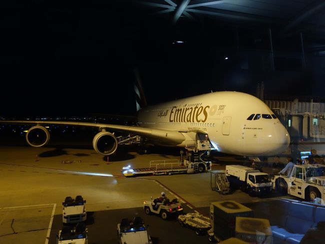 エミレーツのA380-800 に乗る。KIX-DXB EK317。予想通りの荷物 エミレーツのA380-800 に乗る。KIX-DXB EK317。予想通りの荷物