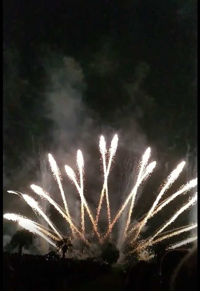 Queen Super Fireworks 夜空のラプソディ 大阪湾水上芸術花火に行ってきたぞ 大阪ベイエリア 大阪 の旅行記 ブログ By Maggiさん フォートラベル