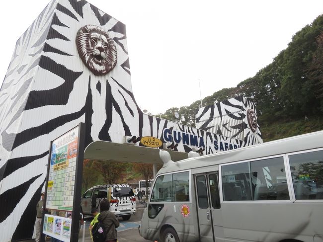 車で群馬サファリパーク デビュー 1 行きは高速道路ですいすい 帰りは夜の山道とカーブの裏道だらけ たっぷりおみやげとサファリパークいろいろ 富岡 甘楽 群馬県 の旅行記 ブログ By まみさん フォートラベル