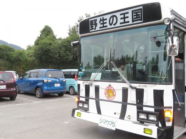 車で群馬サファリパーク デビュー １ 行きは高速道路ですいすい 帰りは夜の山道とカーブの裏道だらけ たっぷりおみやげとサファリパークいろいろ 富岡 甘楽 群馬県 の旅行記 ブログ By まみさん フォートラベル