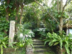 続いて、「米原（よねはら）ヤエヤマヤシ群落」に移動。
世界で石垣島と西表島にだけ分布する天然記念物のヤエヤマヤシが、ここに最大規模で自生しています。
