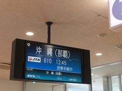 新石垣空港を出発して那覇に向かいます。