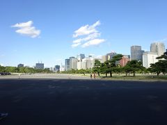 皇居前広場に到着、ここでウォーキングは終了です。
着替えのため、ライジングスクエアまで戻ります。
皇居周りは安全で歩きやすく、東京に住んでいるならお勧めです。