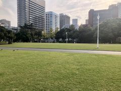 山下公園の芝生

幼少期は年1回は必ず山下公園に来ていたなぁ

