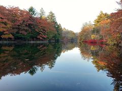 レンタサイクル・・ふだん自転車に乗らない生活なので、久しぶりすぎてとてもヘタ(笑)
でもすぐに慣れました(^_^;)←昔取ったなんとやら
「雲場池通り」を通って雲場池に到着。