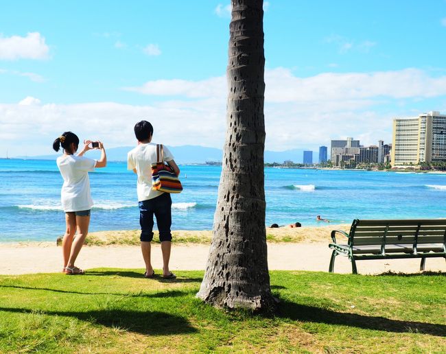 晴天○o｡+..:*○o｡