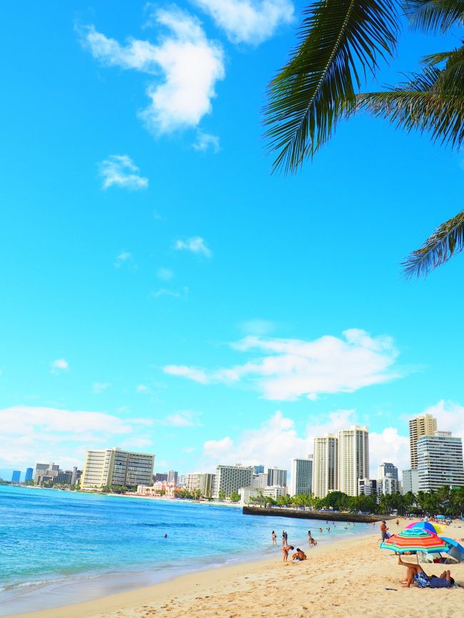 最高゜+。:.゜ヽ(*´∀`)ノ゜.:。+゜ 