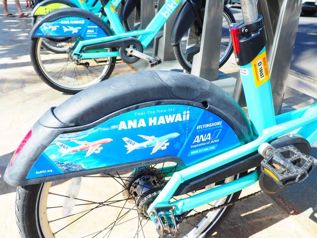 bikiの広告フライングホヌ