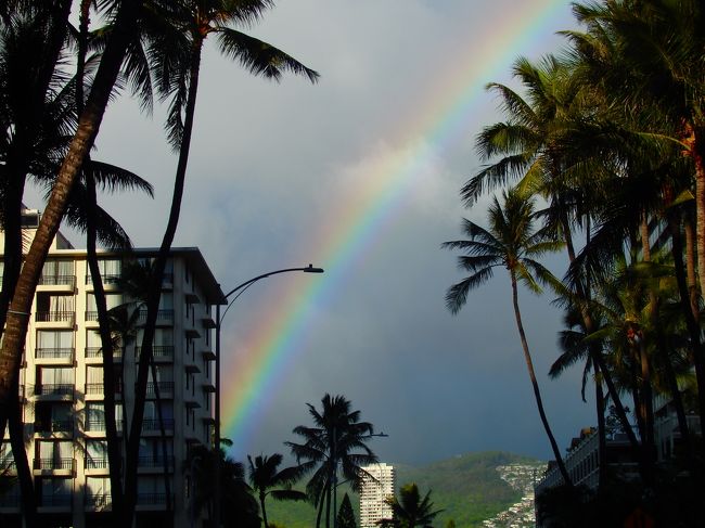 *・ﾟ・*:.｡.*.｡.:*・☆*・ﾟ・*:.｡.*.｡.:*・☆*・ﾟ・*:.｡.*.｡.:*・☆*