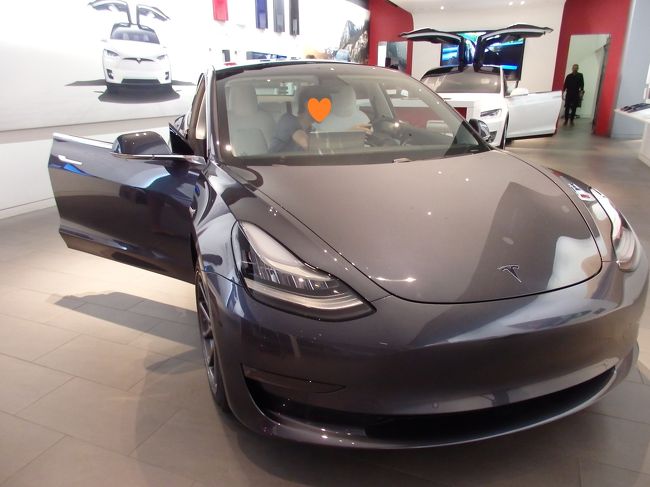 そしてちゃっかりとシートに座ります