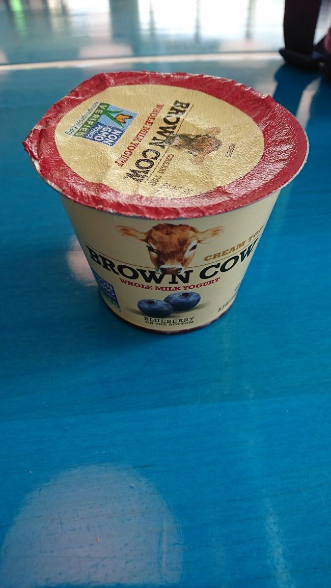 ヨーグルトも買いました！