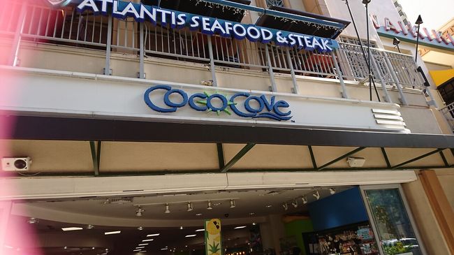 最後のお土産を見に来ました！