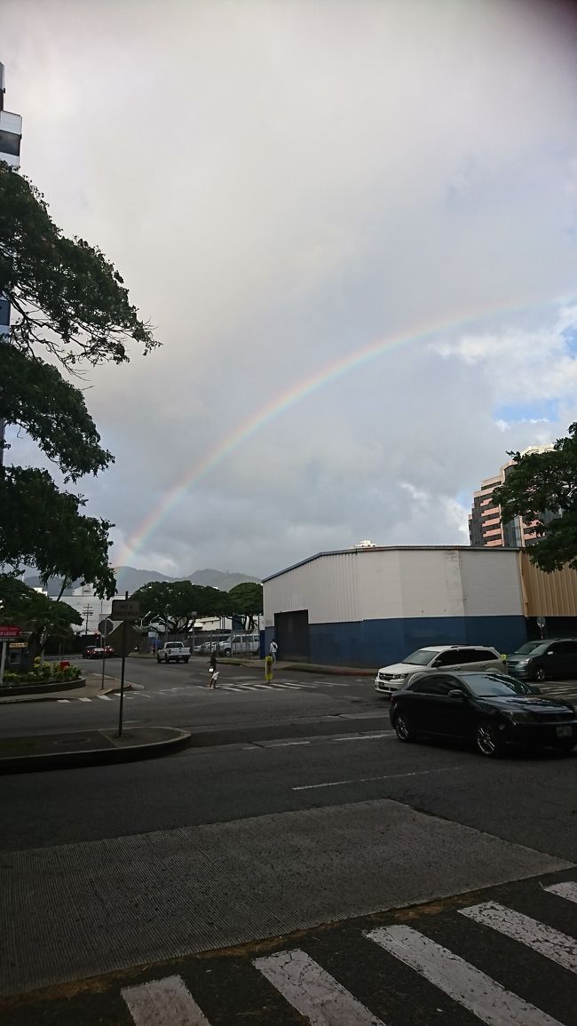 ホテルに戻るバス停の前で虹を見れました♪<br />またハワイに来れるかな？