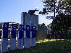 城崎マリンワールドは結構古くからある水族館らしいですが、つい最近知りました。