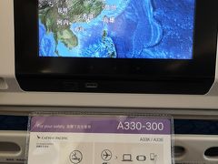 飛行機での移動