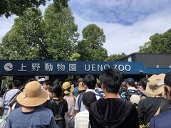 開園時間も何も調べないで来たけど、開園はちょうど９時３０分だったのね。
だから開園待ちで結構混んでる。

で、待っている間に聞こえてきたアナウンス「本日敬老の日につき、６０歳以上の方は無料…」

え、え？
もしかして、私達、「敬老の日」の恩恵で無料なの？
う～ん、微妙～、ちょっと複雑な心境だけど、ま、いっか、無料は嬉しいねという事で。(笑)

いつもは６５歳以上がシニア料金みたいだけど、敬老の日は繰り下げてくれたのね。
シニア料金は平気で利用できるけど、敬老の日特典は、何か微妙～^^;