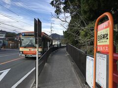 あっという間に夕方近く
南伊豆フリー乗車券恒例の弓ヶ浜温泉へ