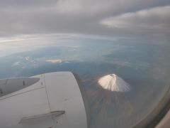 今日は天気が良くて富士山が眼下にとても良く見えました。