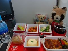 飛行機での移動
