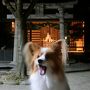③下呂から高山・ひらゆの森→東京へ_秋の3連休パピヨンみっくの犬旅