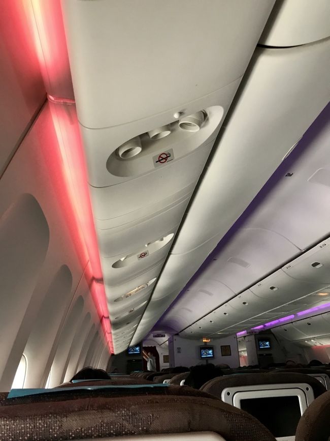 定刻より10分早くスポットアウト。<br />離陸後、ベルトサインが消えるとイルミネーションが。