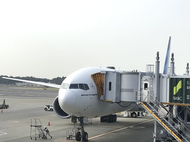 GA881便<br />機材はB777-300ERです。