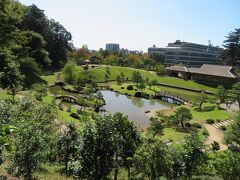 美しい池泉回遊式庭園。