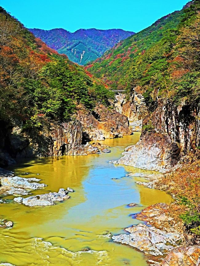 観山　虹の龍の滝登り 虹見の滝｜体験・観光スポット ｜【公式】日光市の観光サイト
