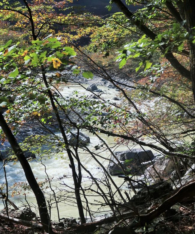 龍王峡 5 白岩折り返し 自然研究路を龍王峡駅へ 紅葉見ごろを迎え 滞在3時間余 日光 栃木県 の旅行記 ブログ By マキタン2さん フォートラベル 龍王峡 5 白岩折り返し 自然研究路を龍王峡駅へ 紅葉見ごろを迎え 滞在3時間余 日光 栃木県 の旅行記 ブログ By マキタン2さん フォートラベル