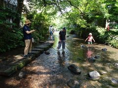 源兵衛川
歩けます。水がとても冷たくて暑い夏には気持ちが良い。