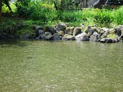 白滝公園
ここもとっても水が冷たい＆綺麗！
