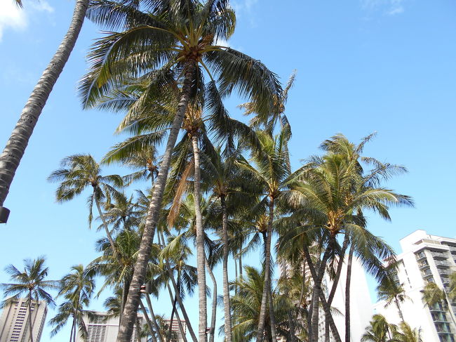 空気も景色もおいしいんです。