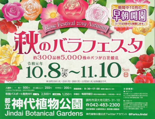 秋の神代植物公園 百花繚乱はバラだけじゃなかった 調布 狛江 東京 の旅行記 ブログ By まっちゃんさん フォートラベル