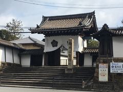 １＜京都東山・智積院＞
京都には、ほぼ毎年「Go! 朱印 Trip」で訪れています。
有名どころの寺社の御朱印はいただきましたが、京都に寺社は多く、いただいていない御朱印もまだまだあります。
東山にある「智積院」参拝は、初めてです。