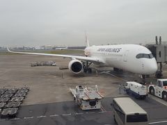 エアバスA350-900型

うわ～あれに乗るのね～。FクラスではないけどクラスＪでも十分ワクワクです。