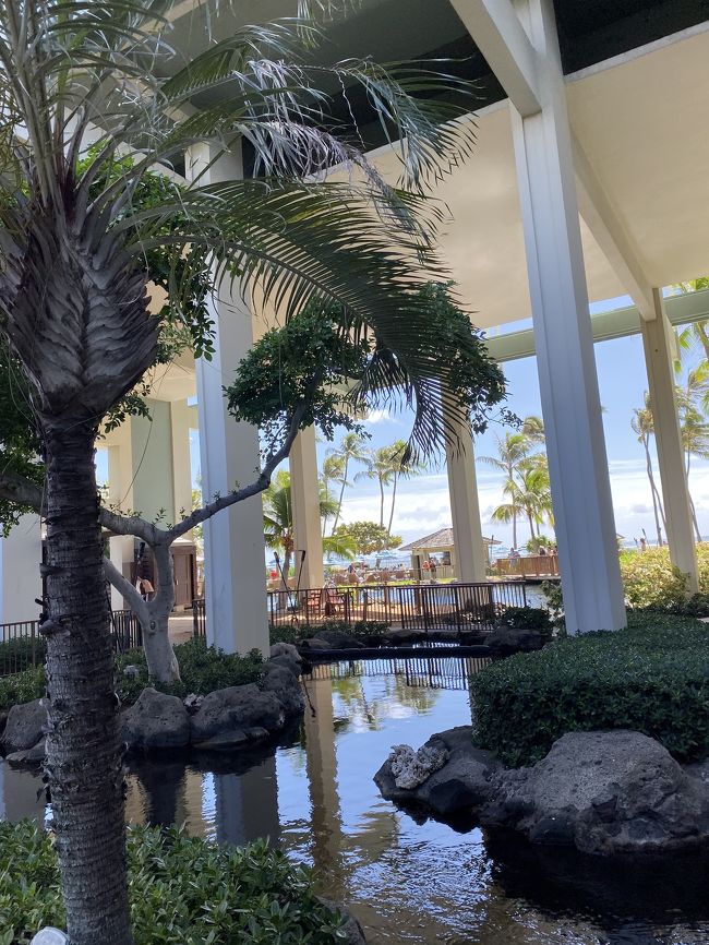 ここに来た目的は、