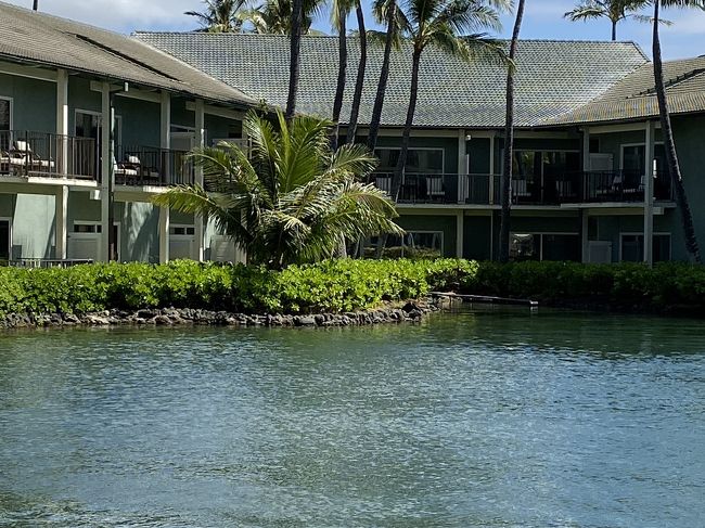 ドルフィンラナイルーム　いいな。