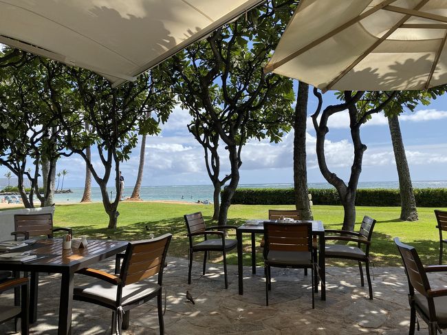 この素晴らしい景色を見ながら食事したかったんです！