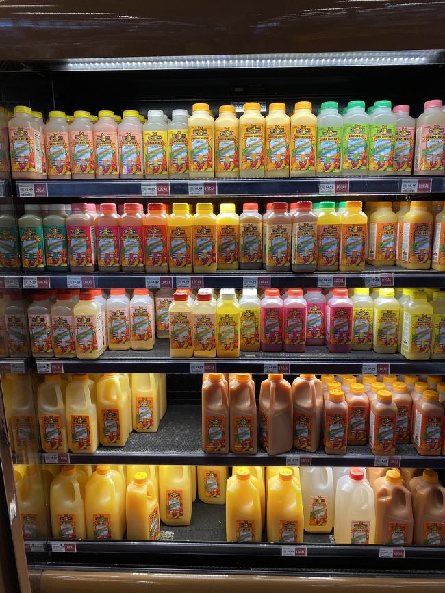 よく旅行記で見るゴヴィンダス。<br /><br />飲んでみたいと思っていましたが、そんなに量飲めないので、購入しませんでした。