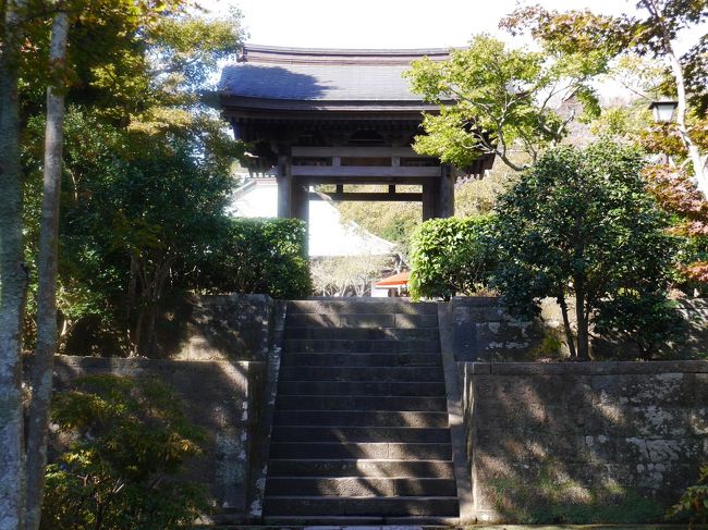 11月初めの北鎌倉②☆海蔵寺・浄光明寺・寿福寺☆かかん鎌倉本店☆2019/11/07