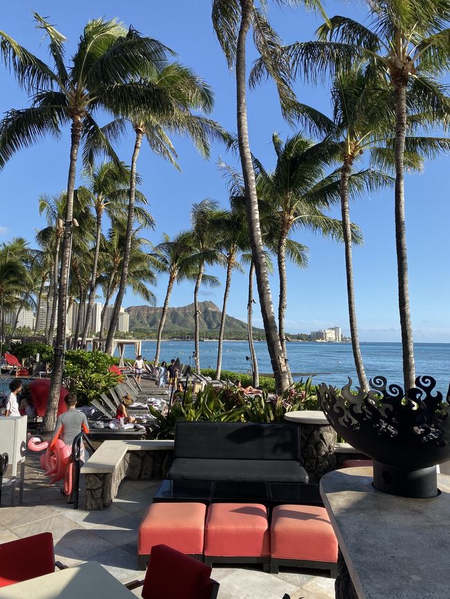 見ていて飽きない<br /><br />シェラトンからの景色は最高！