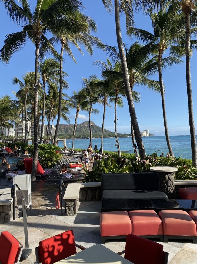 やっぱりイイ！