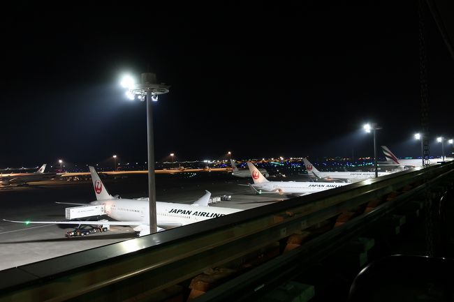 旅のしめくくりは展望台へ。<br />ライトアップされてきれいですね。<br /><br />この旅の旅行記はここまで。お読みいただきありがとうございました！