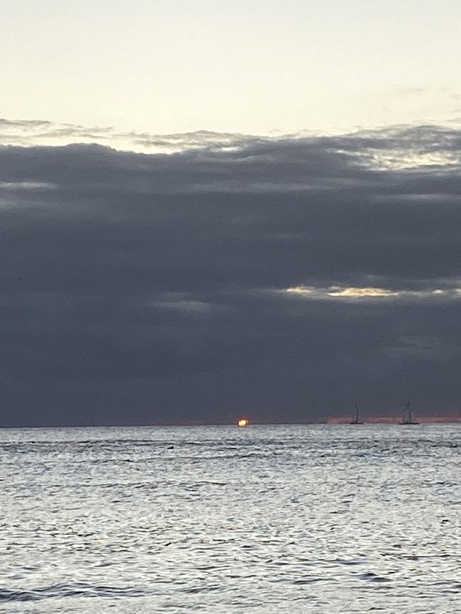 見えたのはこれだけ。