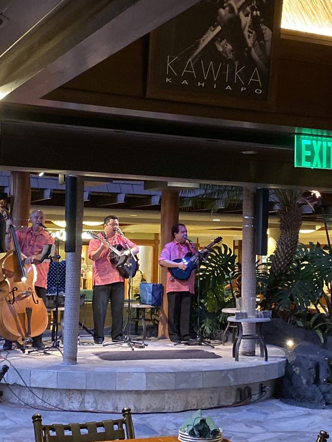 毎日やってます