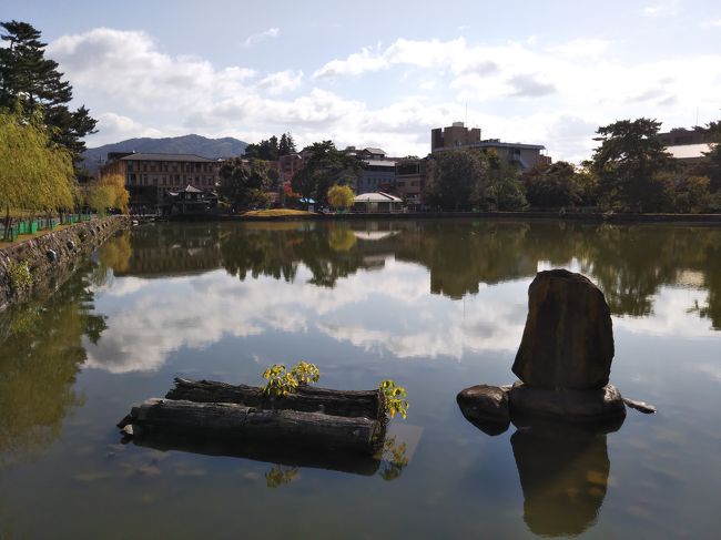 奈良公園の手前の猿沢池です。