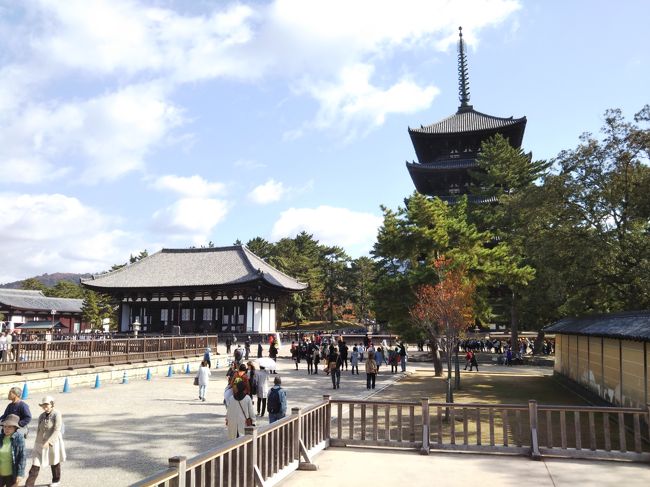 興福寺の東金堂と五重塔です。（有料エリアには入っていません）